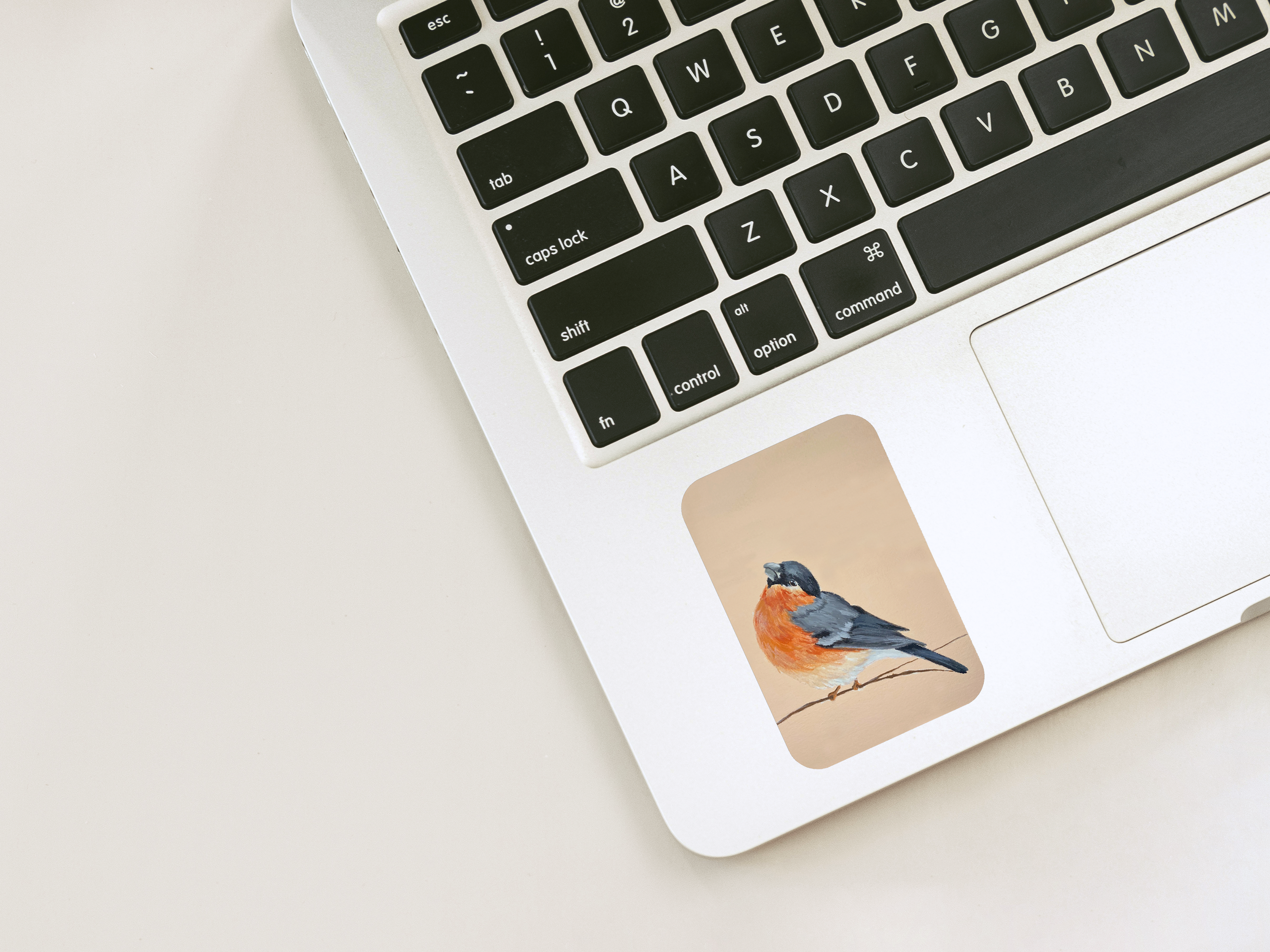 Victoria in Design - Wholesale Sticker - The Robin Vinyl Sticker4