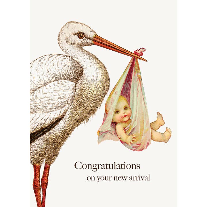 P. Flynn Design / Phun House - Wholesale Baby Card - Congratulations Stork • Mini Enclosure Card