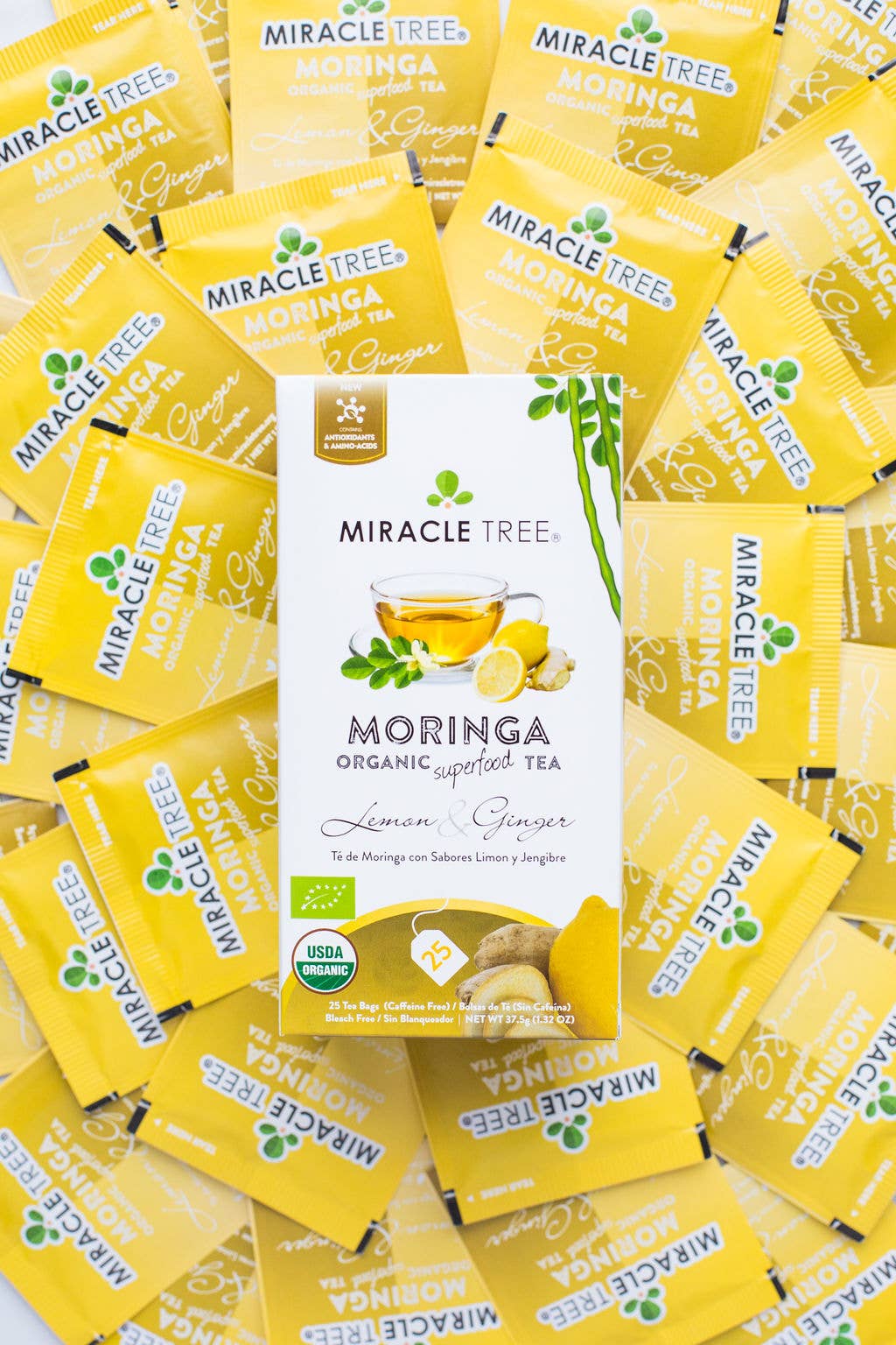 Miracle Tree - Wholesale Tea Bags - Organic Moringa Tea: Lemon & Ginger4