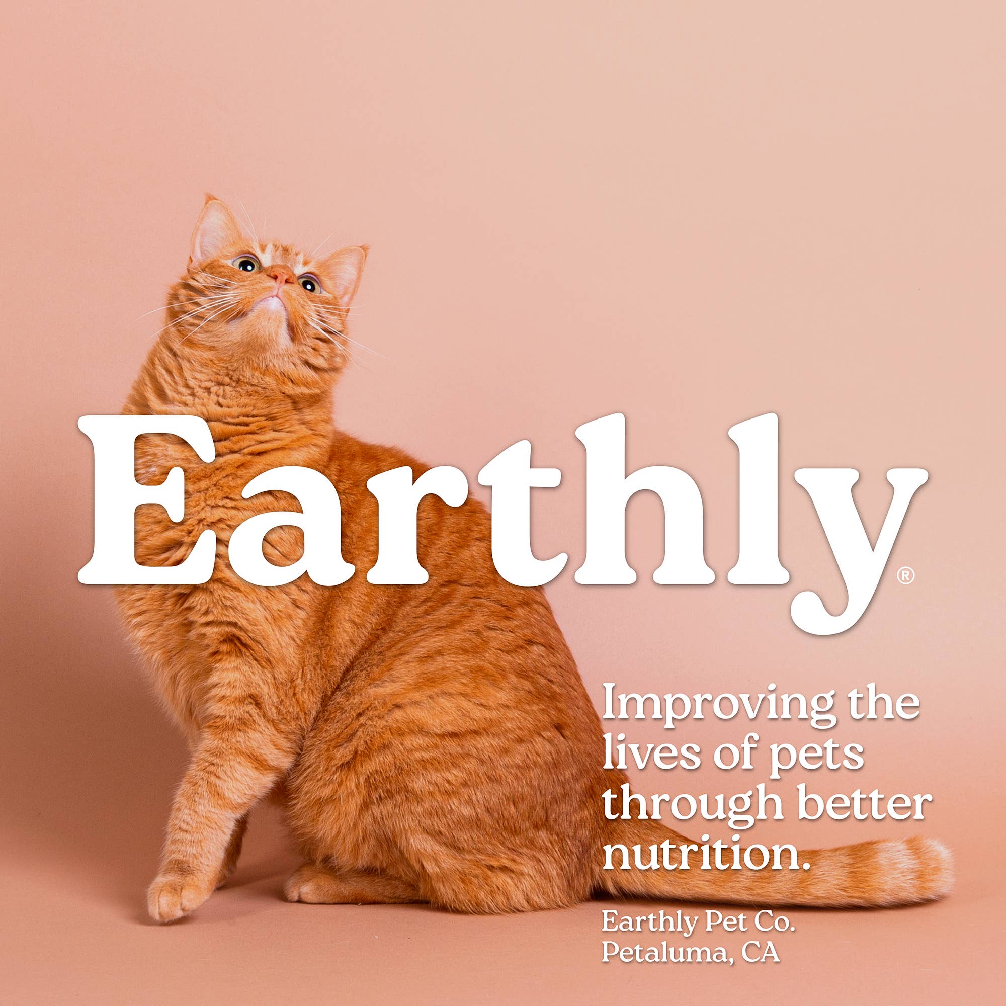 Earthly Pet Company – Großhandel Leckerlis – Hund – Cat Sushi Bonito-Flocken6