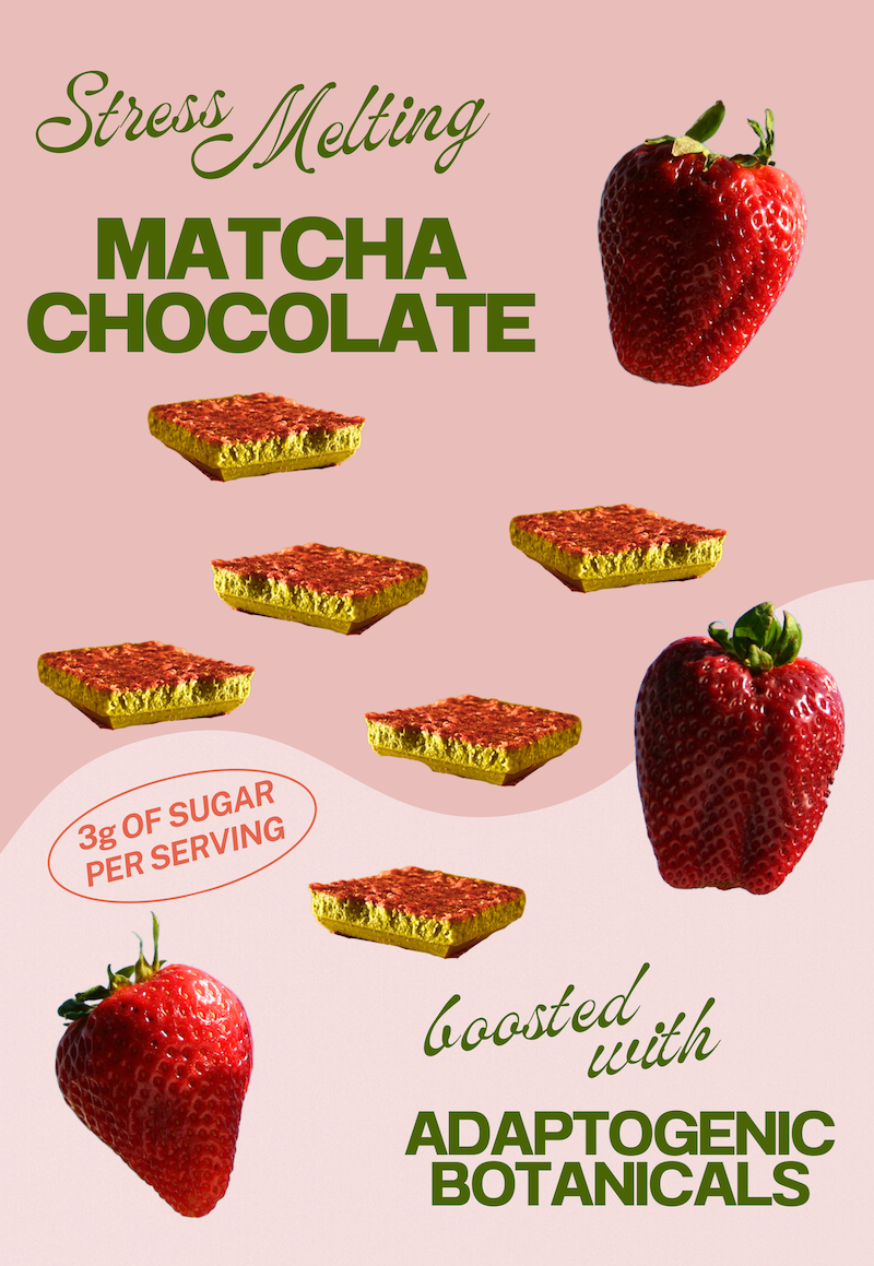 Vital Leaf - Vente Barre chocolatée - Tablette de chocolat Matcha pour réduire le stress et améliorer la concentration : boîte de 127