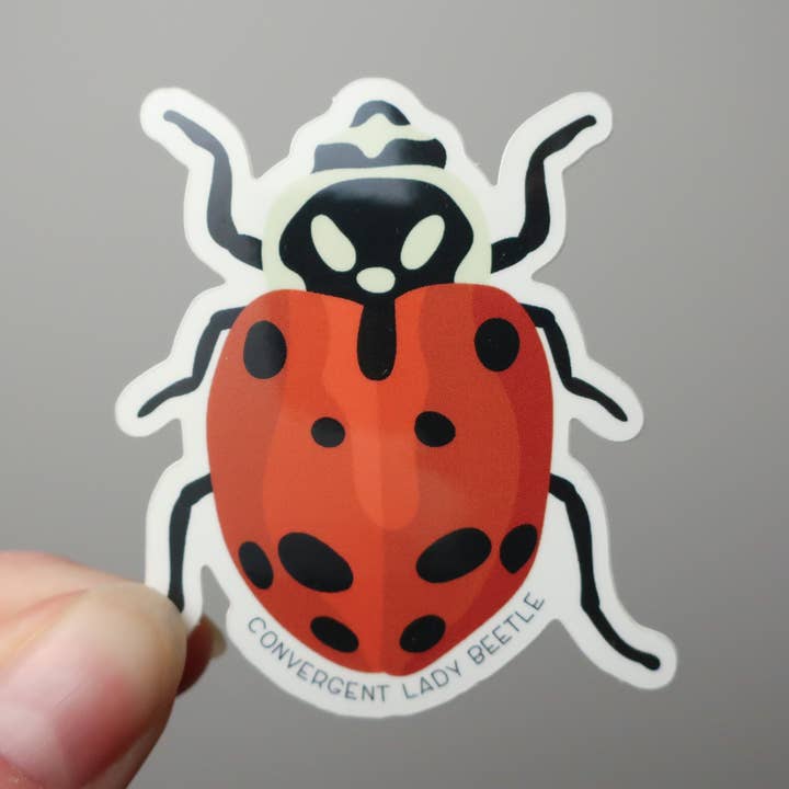 Autocolante Vinil Impermeável Joaninha Convergente - Benéfico por atacado de Beehive 95 Designs