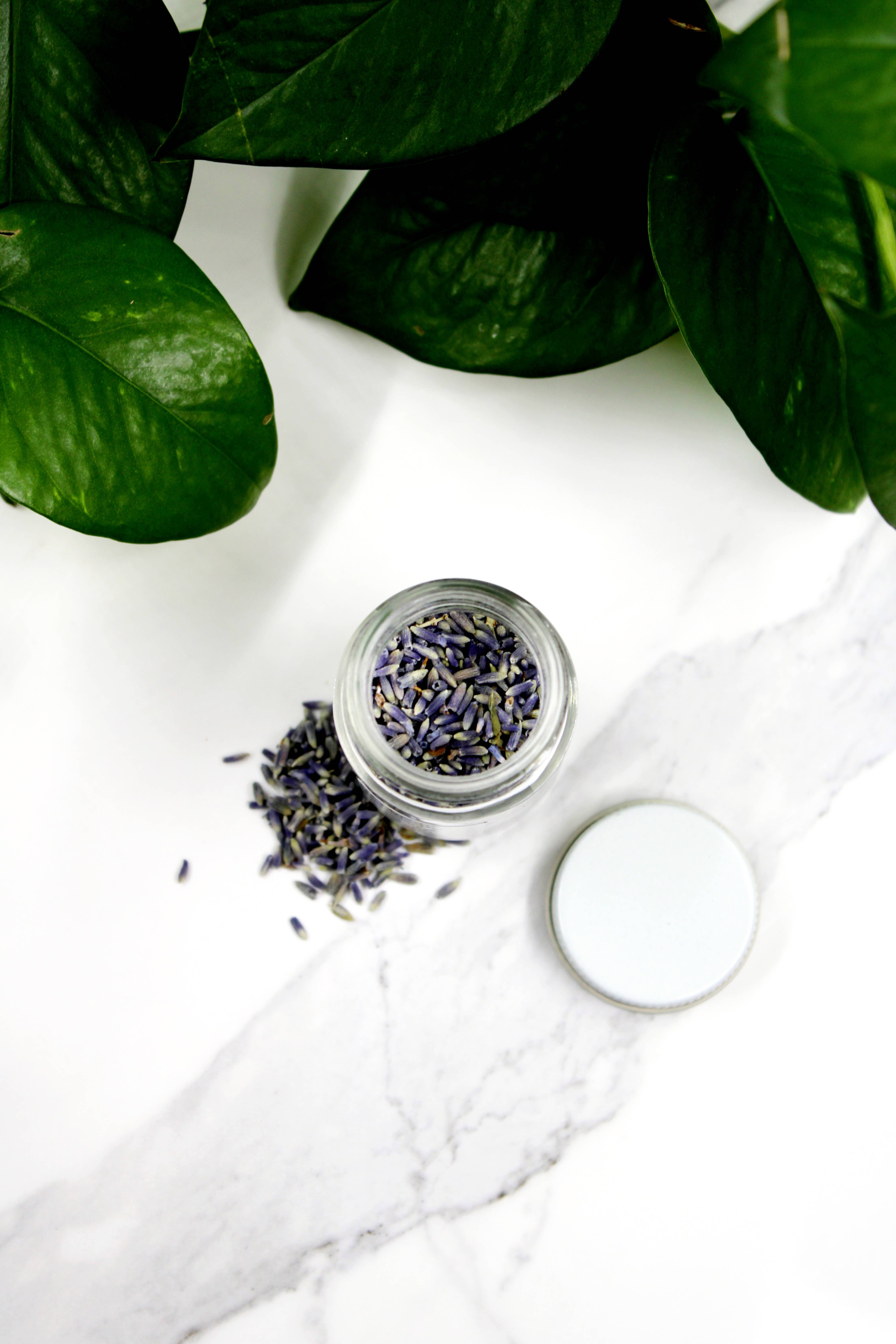 Three Witches Tea Shop – wholesale Herbs – Organic French Lavender1