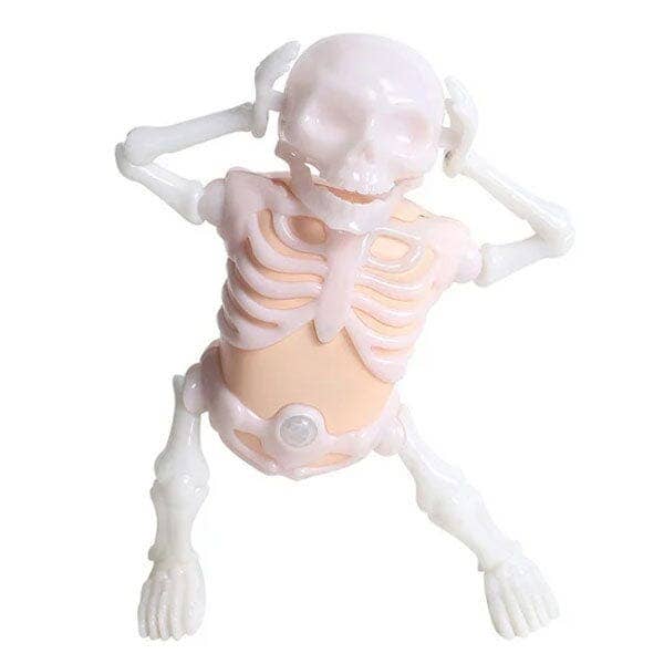 Showcase - Wholesale Gag Gift/Novelty Gift - SkellyVibes Glow-In-The-Dark Dancing Skeleton - Lights Up & Laughs!3