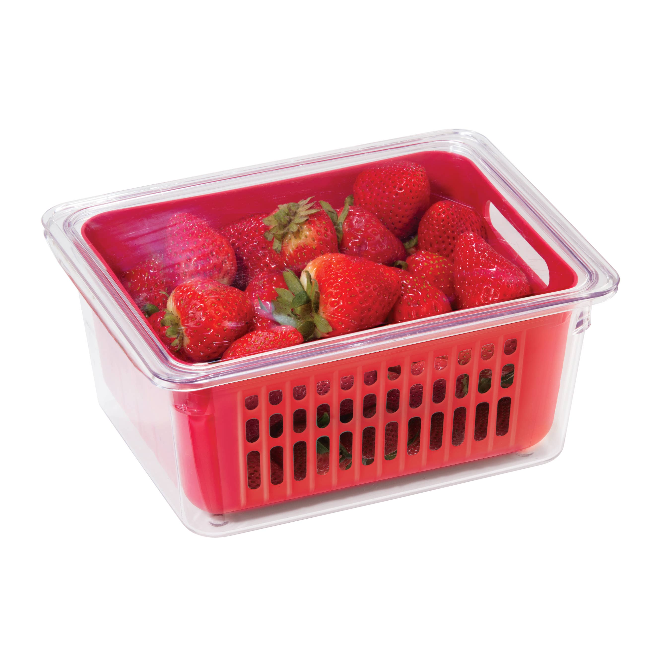 Oggi - Wholesale Food Storage Container - Berry Bin - Single (8.75" x 6.75" x 3.75")1