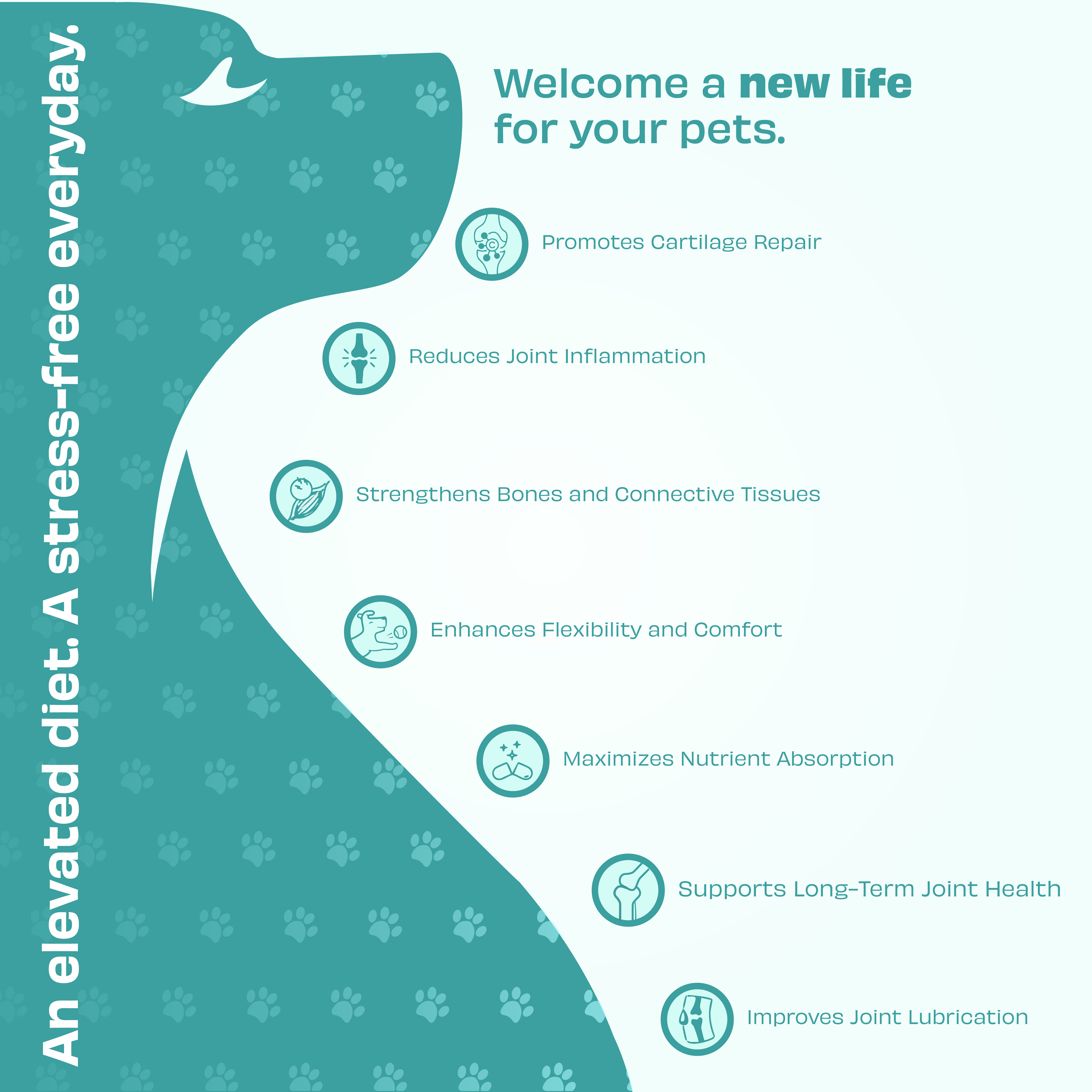 Pawfect Foods – wholesale Pet supplement – Dog – Pawfect Wild Vigor Move Max Bites | Hip & Joint Supplement for Dogs | Mobility | All Natural | Grain Free | Enriched with Insect Protein, Chondroitin, Glucosamine HCL & Rosehip extracts (70g/2.46oz)3