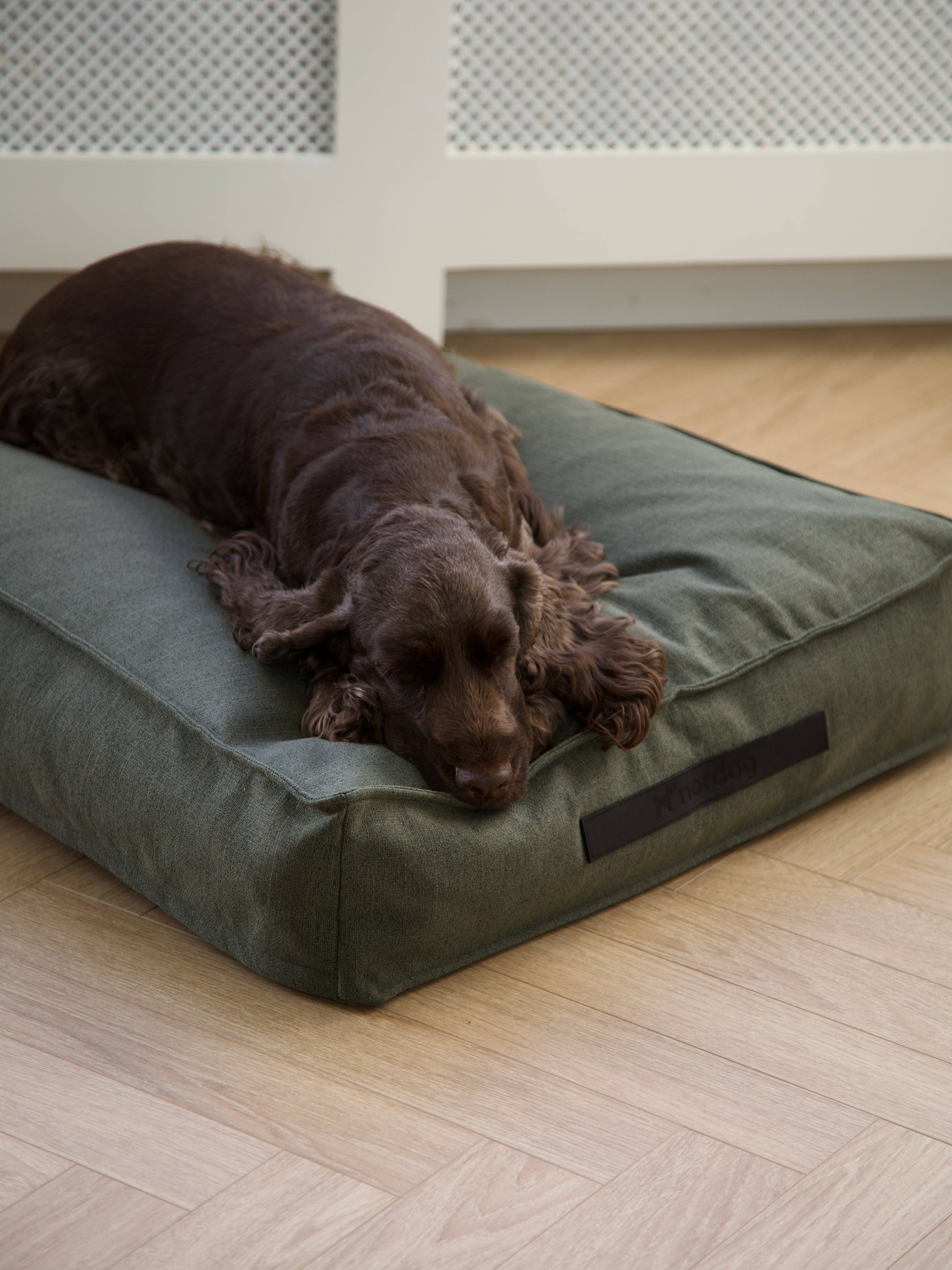 Forrest Coussin pour chien Hygge Forrest en vente sur Faire5