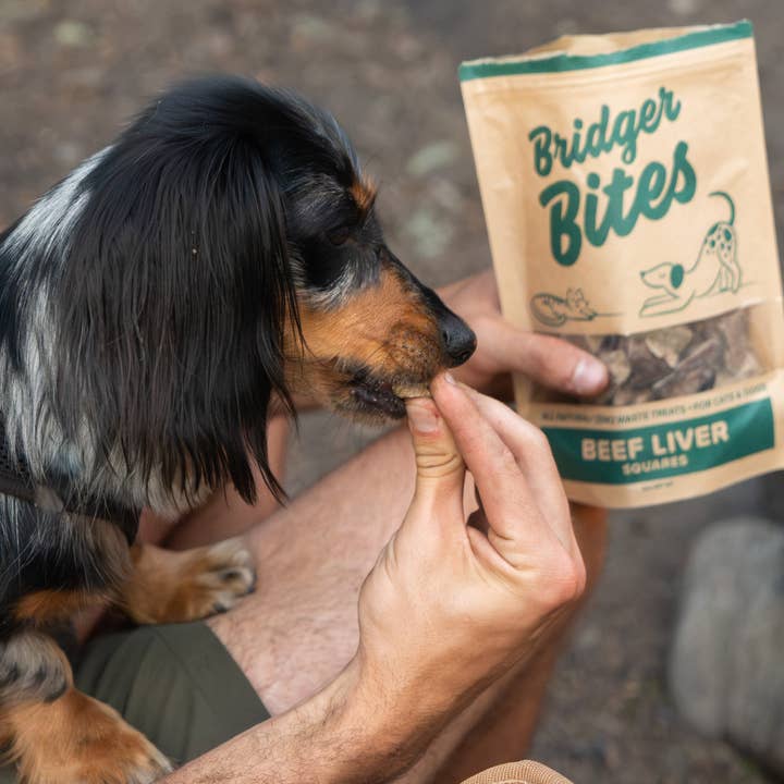 Bridger Bites, LLC - Wholesale Pet Treats - Dog - Freeze-Dried Beef Liver3