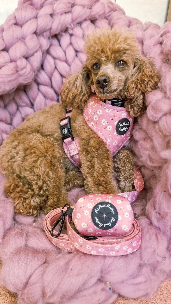 Pet Pooch Boutique - Wholesale Pet harness – Dog - Dusky Pink Daisies Floral Puppy Dog Harness2
