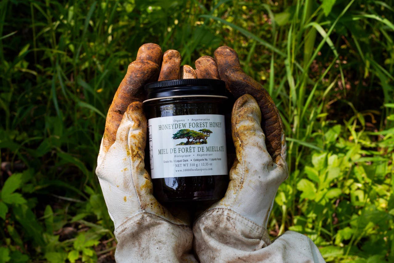 African Bronze Honey Company - Wholesale Honey - Organic Wild Honeydew Forest Honey2