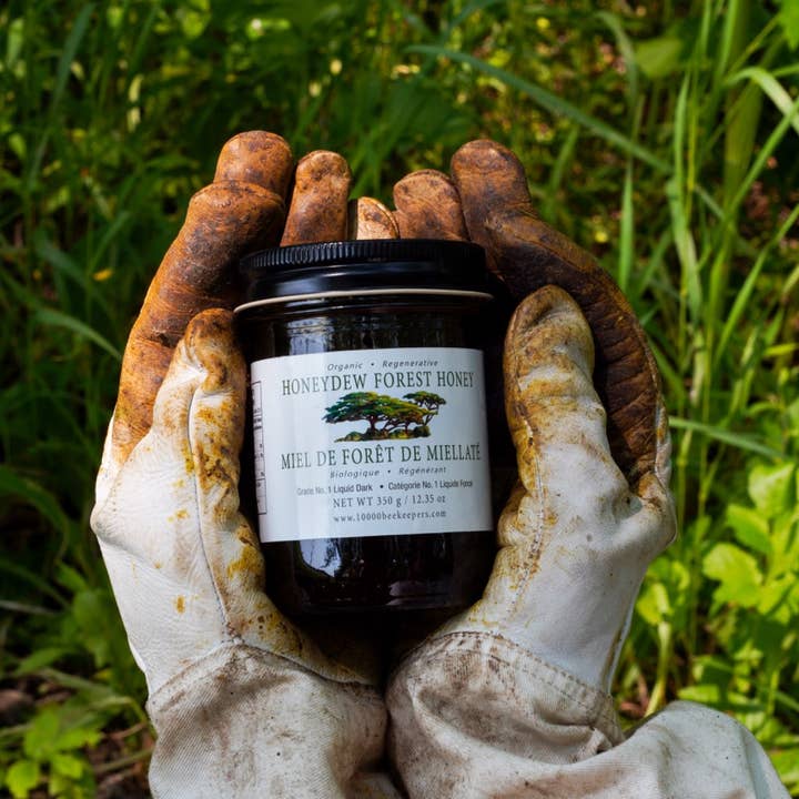African Bronze Honey Company - Wholesale Honey - Organic Wild Honeydew Forest Honey2