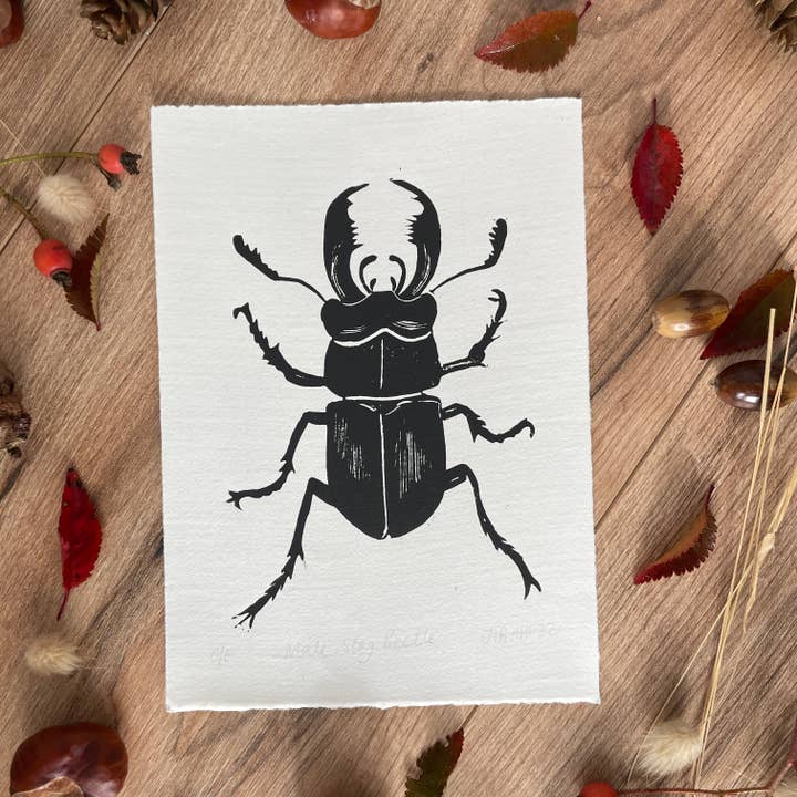 Jackdaw and Bear - Wholesale Art print - Stag Beetle Lino hand printed insect linocut print1