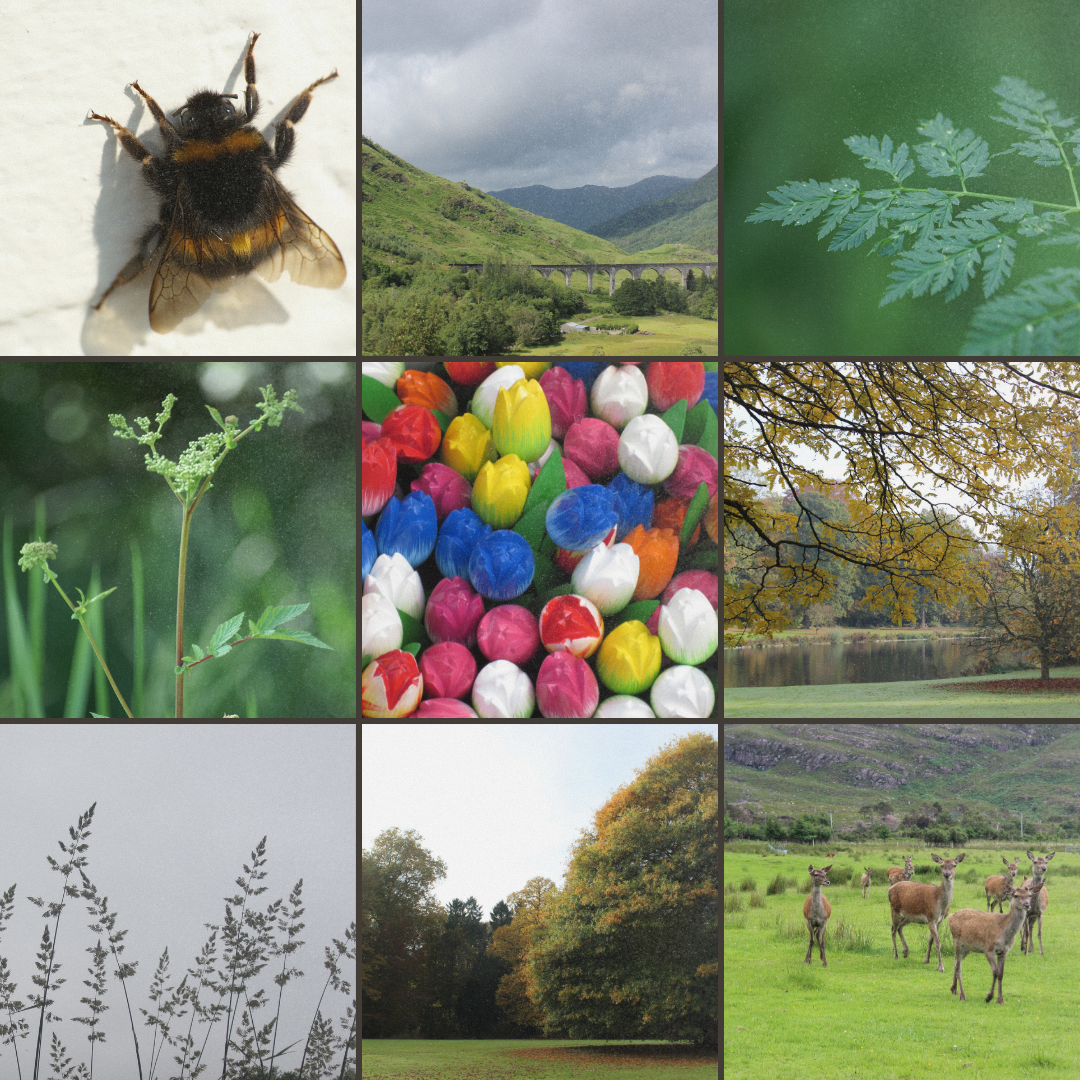 x The Fancy Firefly - Wholesale Art Print - Photography Prints - Selection from 40+ images in catalogue3