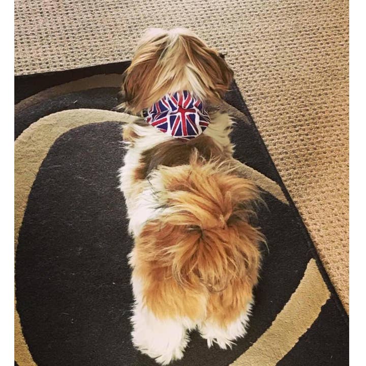 Storms Style - Wholesale Pet Bandana - Dog - Union Flag Pet Bandanas - Dog Cat