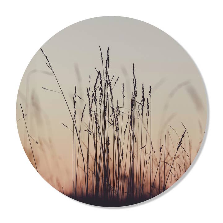 Círculo de pared Reed para venta al por mayor de GM decoratie