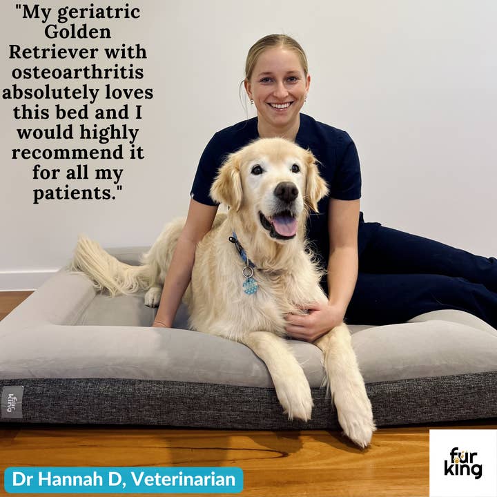 Fur King - Wholesale Pet bed – Dog - Fur King "Ortho" Orthopedic Dog Bed9