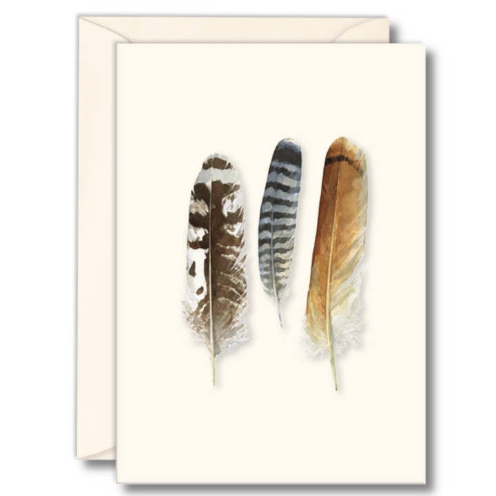 Earth Sky + Water - Wholesale Stationery/Notecard Set - Raptor Feathers Notecards