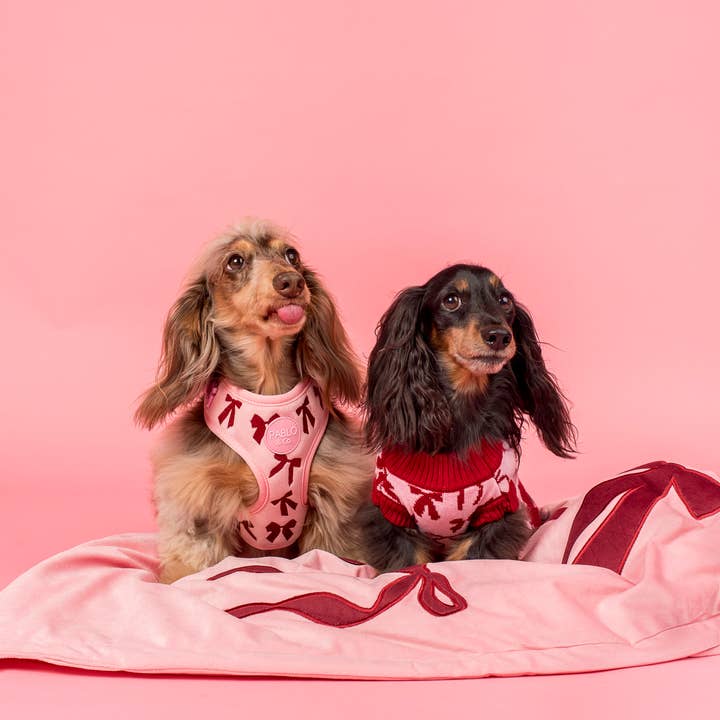 Fluwelen Blush Strikken Honden Deken voor wholesale door Pablo & Co. Boutique