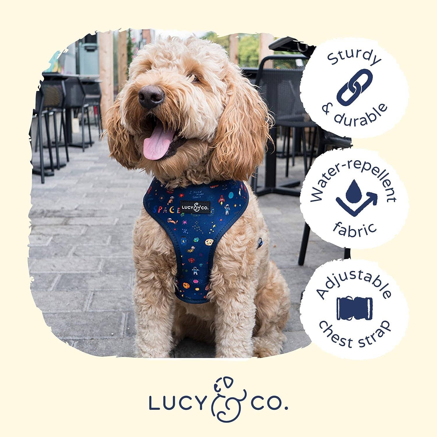 Lucy & Co. - Wholesale Pet Harness - Dog - Space Doodle Reversible Harness5