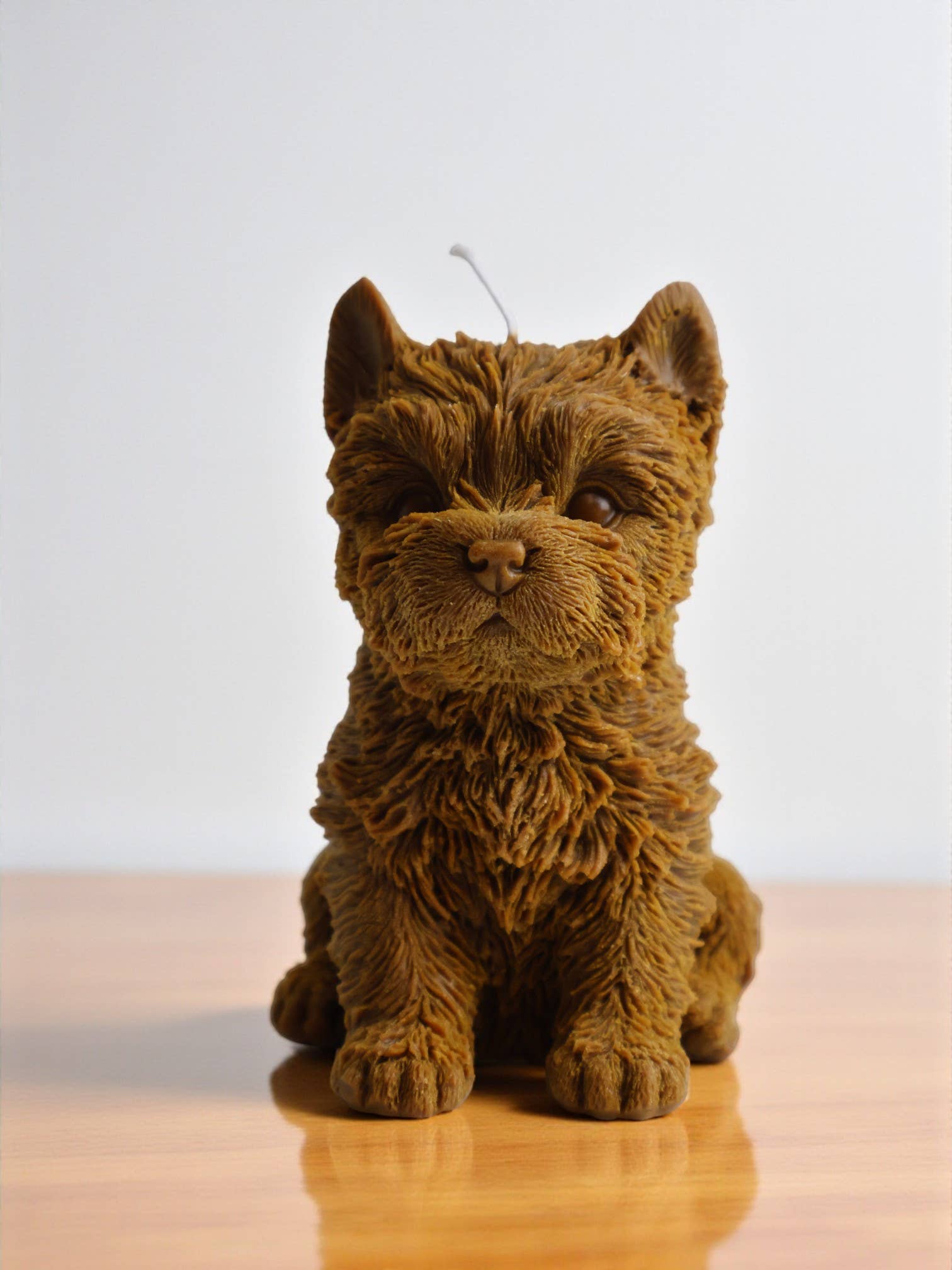 Agaboo Candle – Großhandel Geschenkkerze – Yorkshire-Terrier-Kerze 6x5 Zoll4