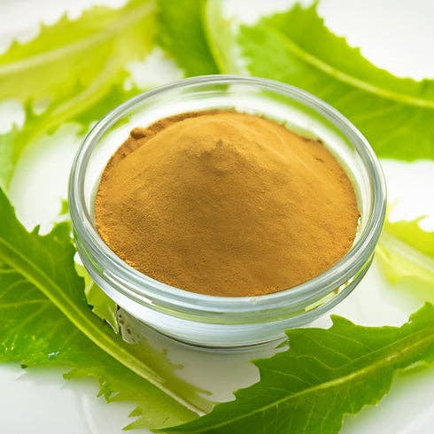 Healing Herbals - Wholesale Herbs - Wild Lettuce Extract