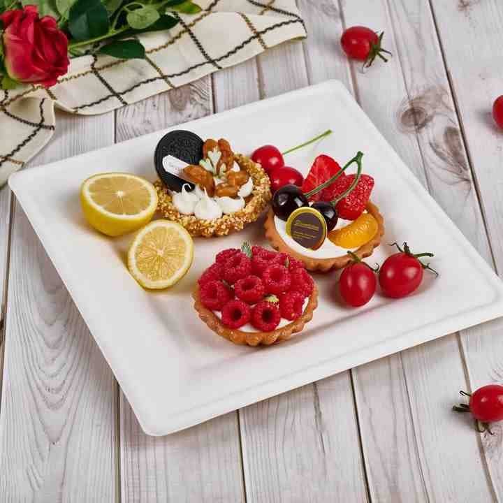 Clene Pack - Wholesale Disposable Plate - Bagasse Square Plates 8" Compostable Heavy-duty 500 Pack4