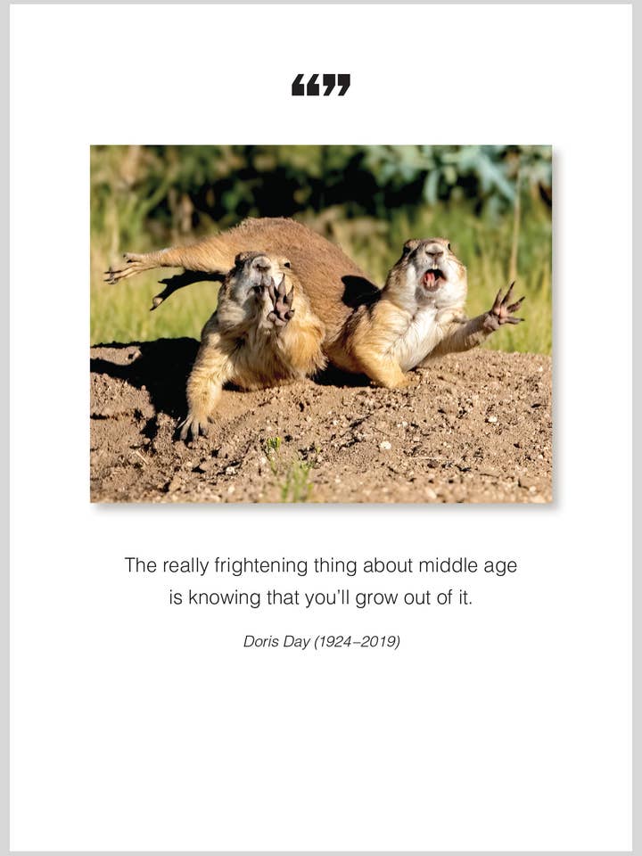 Middle age Birthday/All Occasion Greeting Card for wholesale by The Borealis Press Inc