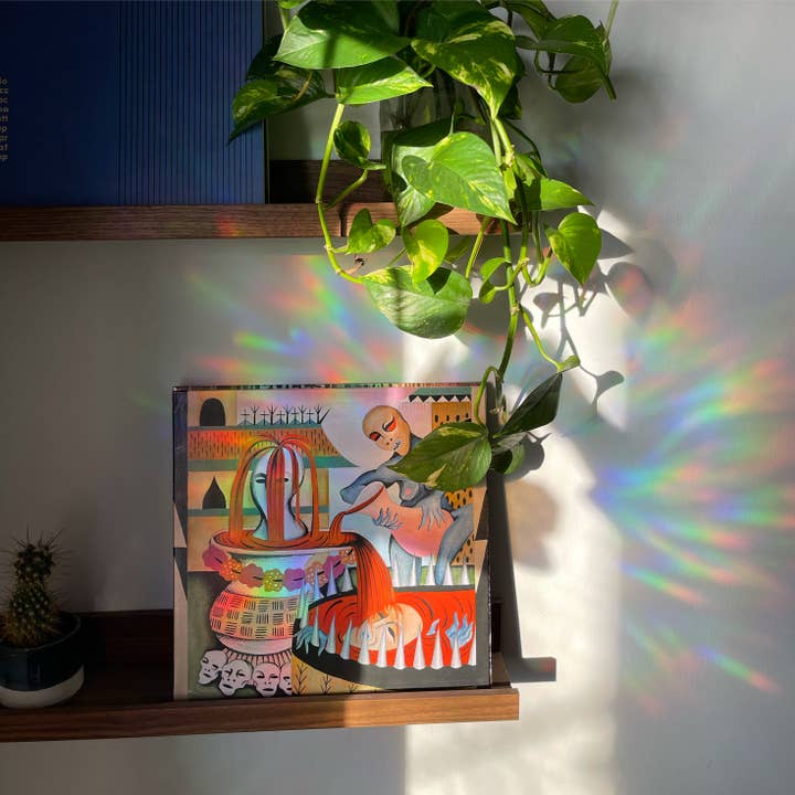 Mustard Tiger - Vendita all'ingrosso Acchiappasole - Pacchetto Suncatcher a forma di dinosauro5