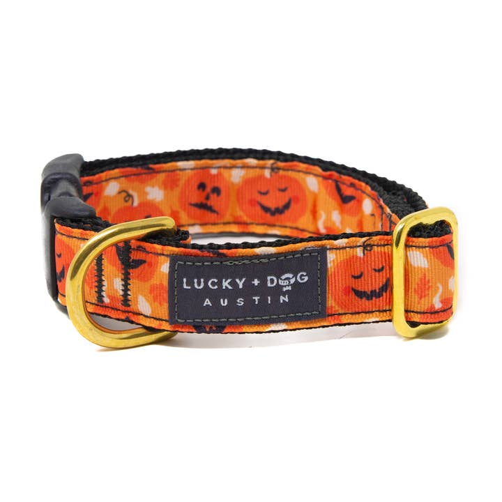 Vêtements de sport - Chiot Citrouille pour la vente par LUCKY + DOG