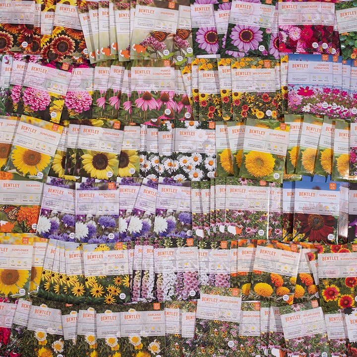 Bentley Seed Co. - Wholesale Plant Seeds - Bulk 250 Piece Eastern Region Flower Seed Packets