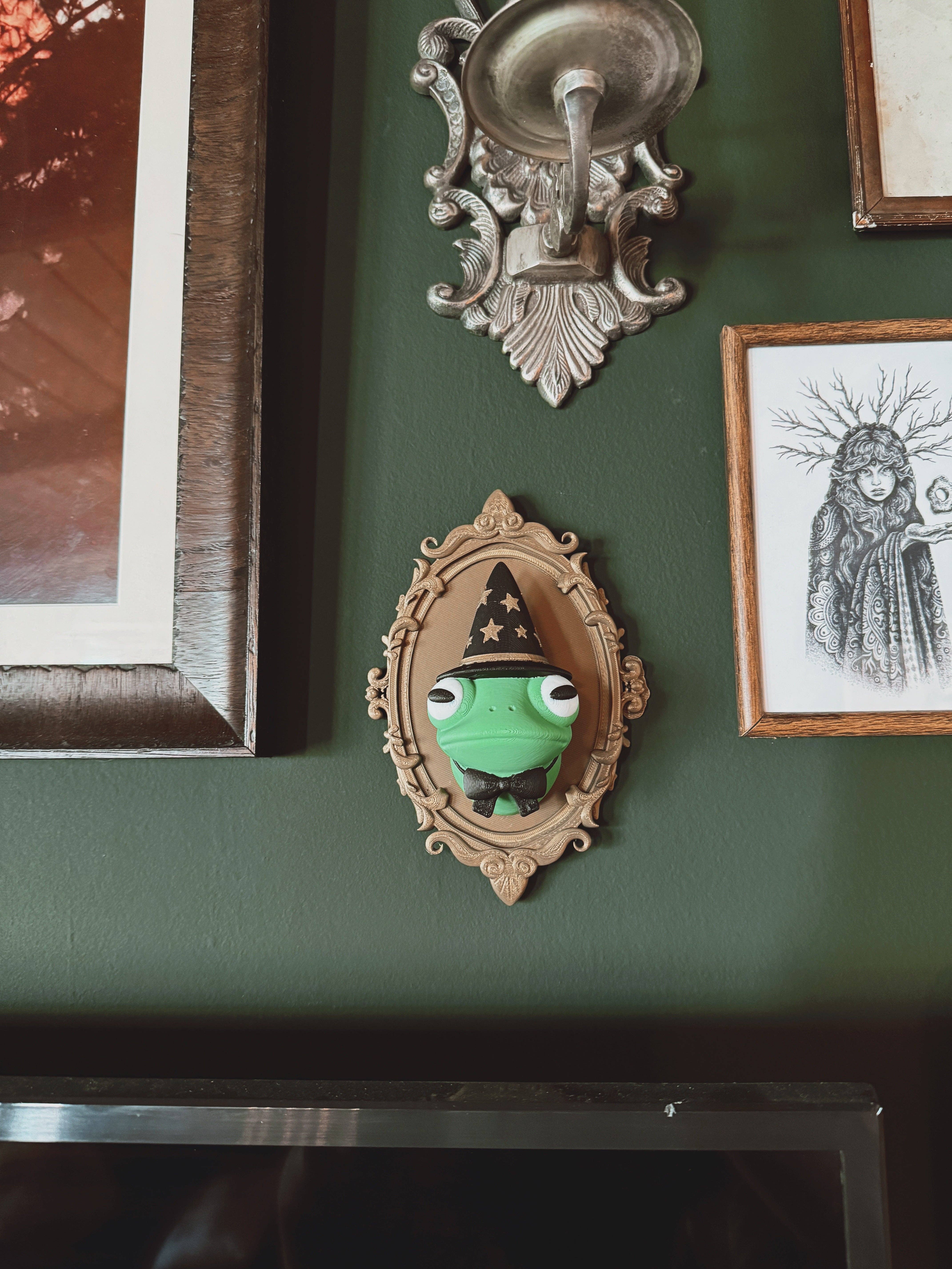 Lady Moon Co.® - Wholesale Wall Decor - Kids & Baby - Toad Witch Faux Taxidermy7