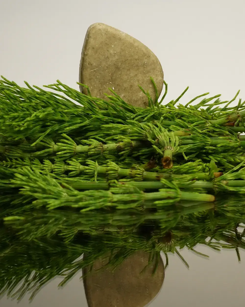 Nature Bar - Wholesale Shampoo Puck/Solid Shampoo - Shampoo Bar Balance & cleanse 1