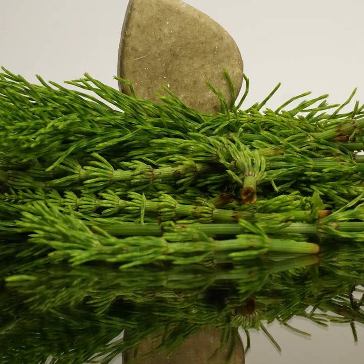 Nature Bar - Wholesale Shampoo Puck/Solid Shampoo - Shampoo Bar Balance & cleanse 1