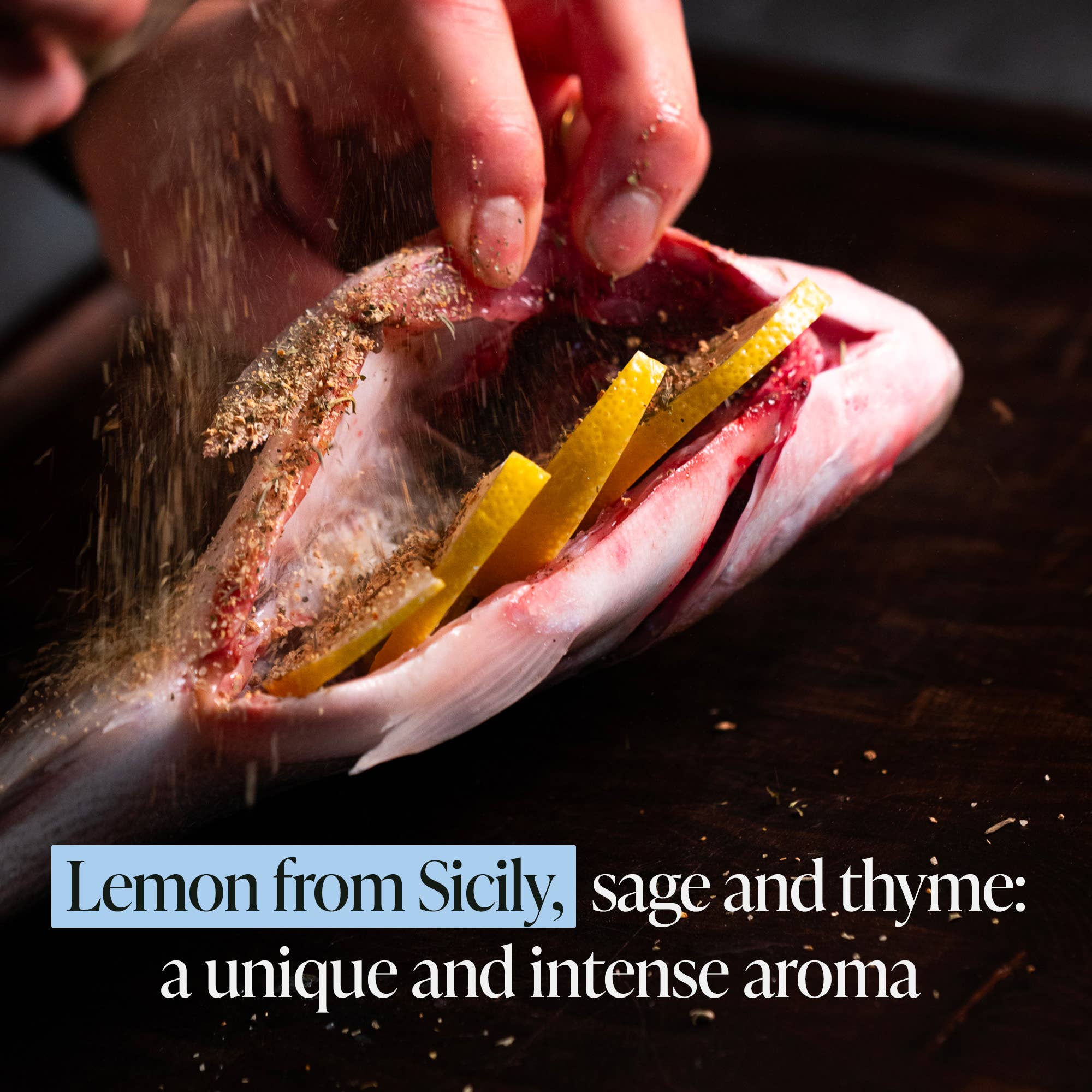 BBQ King - Venta al por mayor Condimentos - Mezcla Fish Rub para pescado 70 g (2,46 oz)4