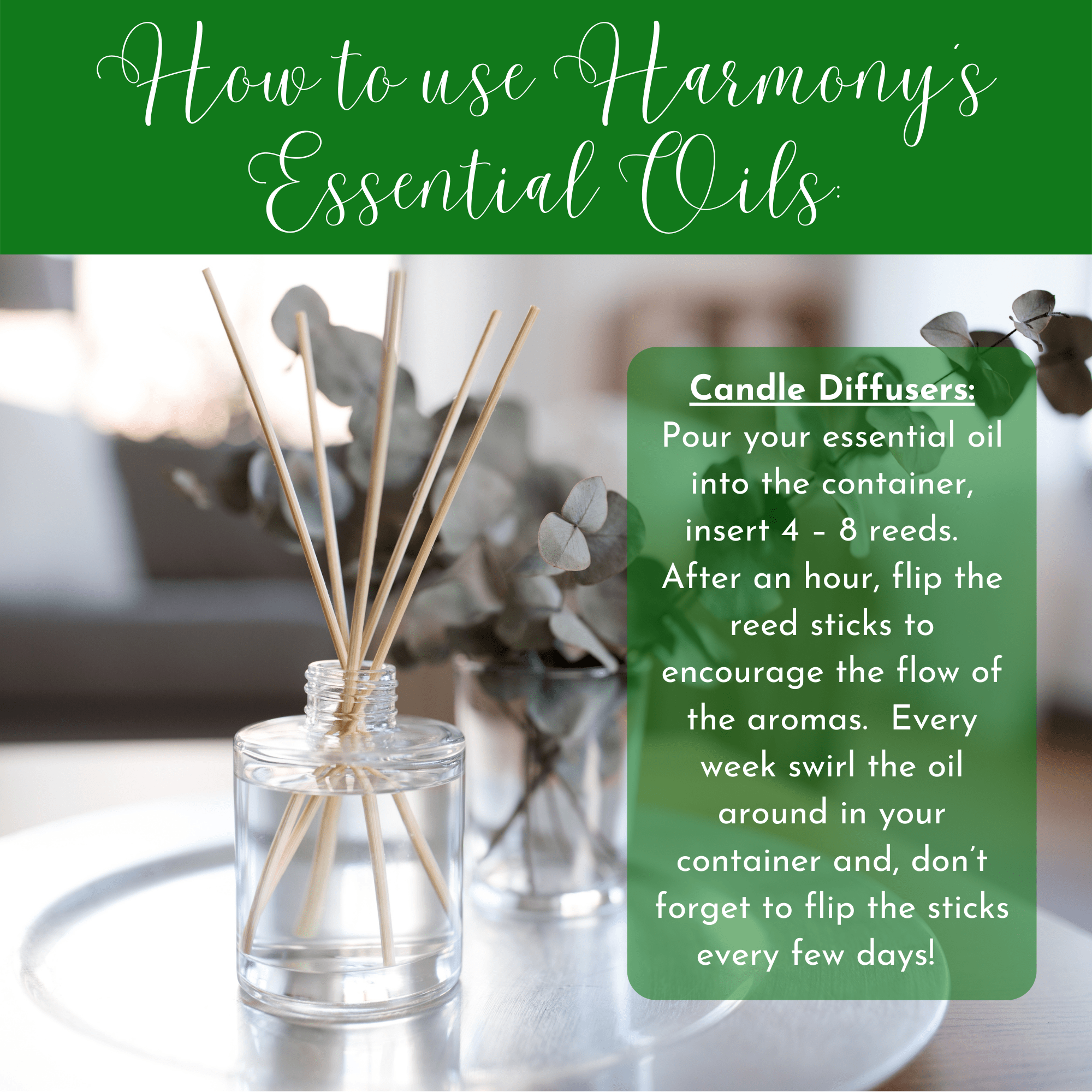 Healthy Energy Amazing Life - Wholesale Essential Oil - H.E.A.L.'s Essential Oils - Tea Tree11