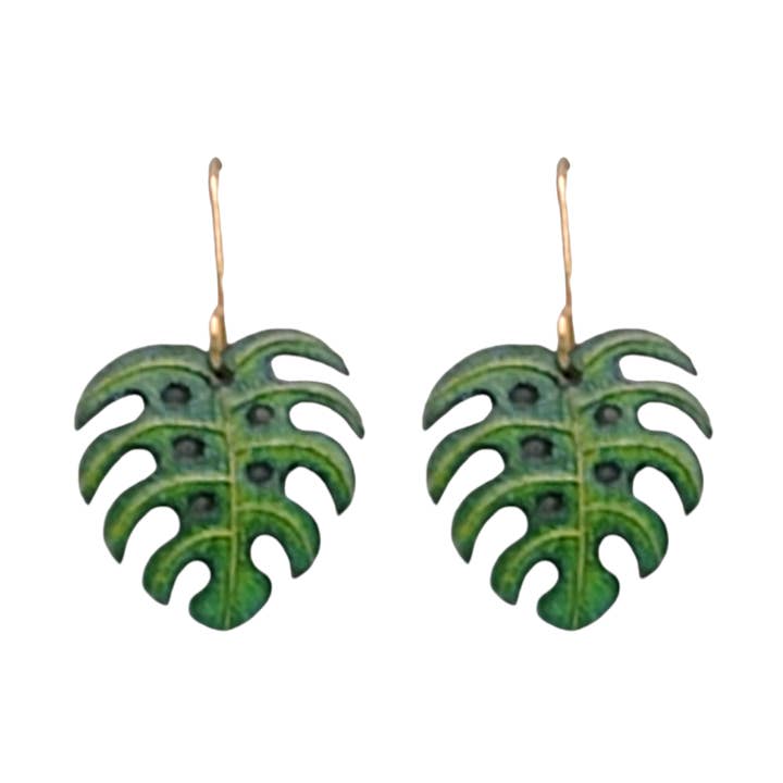MONSTERA, OTTONE, PICCOLO per la vendita all'ingrosso da parte di Beautiful Medusa