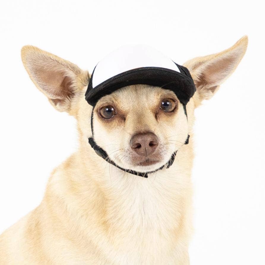 PupLid – wholesale Hatt - Hund – Blank Foam truckerkeps för hundar4