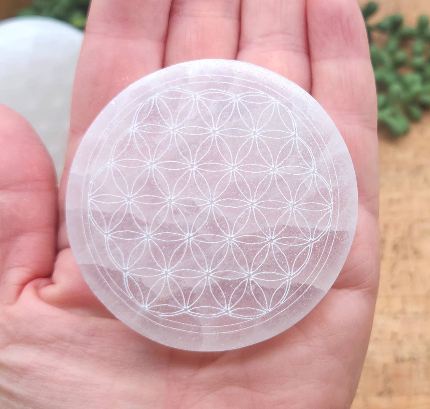 Meraki Gemstones - Wholesale Spiritual Stone/Crystal - Selenite Charging Plate/Coaster Round - Flower of Life 6-7cm12