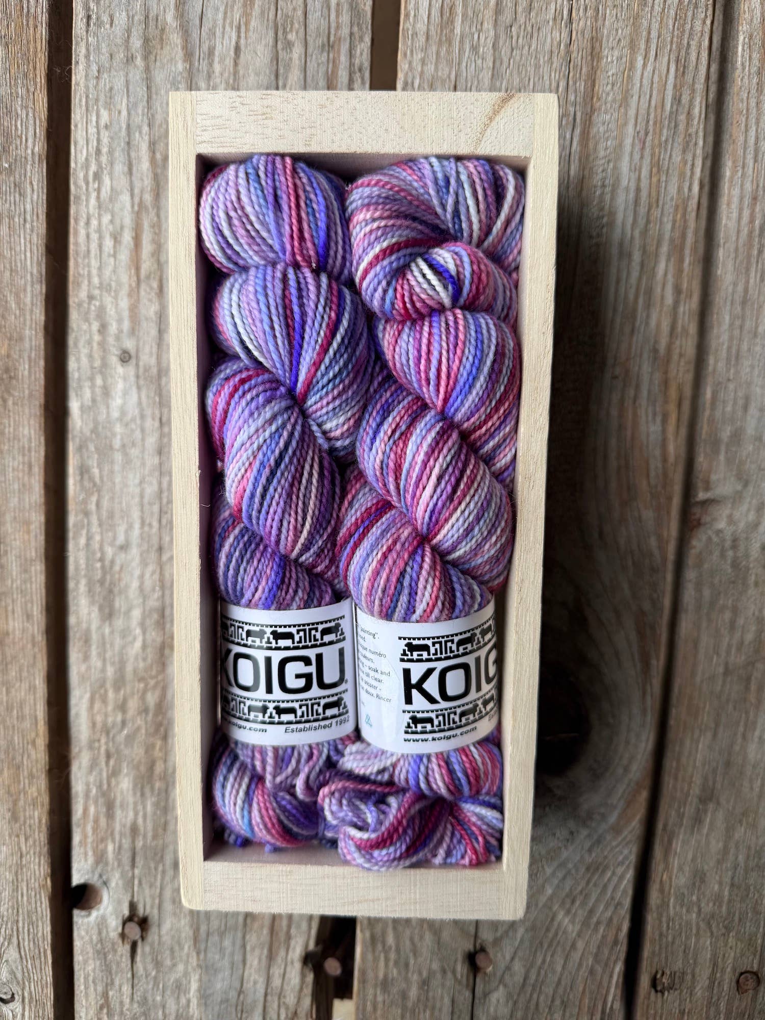 Koigu Wool Designs - Wholesale Yarn - Koigu Sock Crate6
