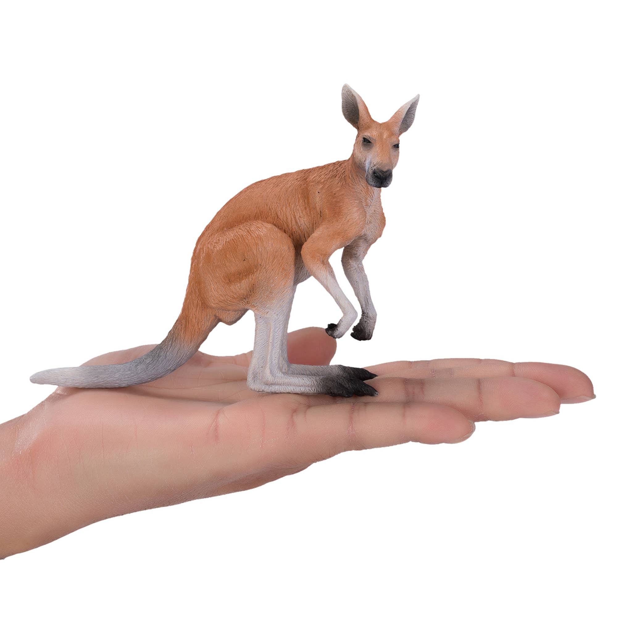 Mojo - Wholesale Figurine Toy - Kids - Mojo Kangaroo Animal Figurine4