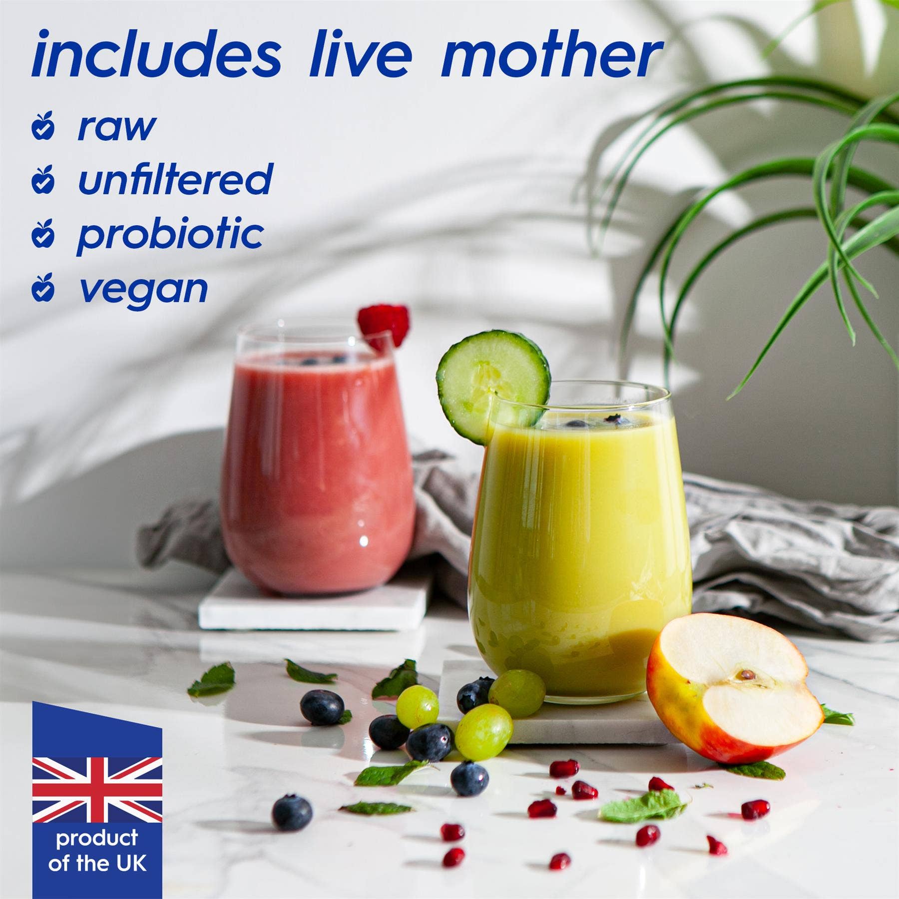 Rinkit Ltd - Wholesale Vinegar - Apple Cider Vinegar with The Mother - 5L2