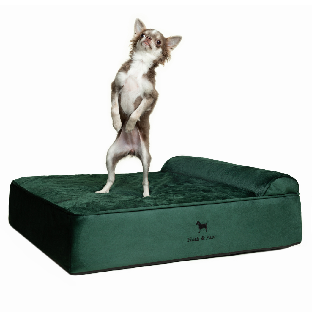 NOAH AND PAW LLC - Wholesale Bed voor huisdieren- Kat/hond - Fluwelen orthopedisch huisdierbed, traagschuim, doordrenkt met verkoelende gel - Klassiek1