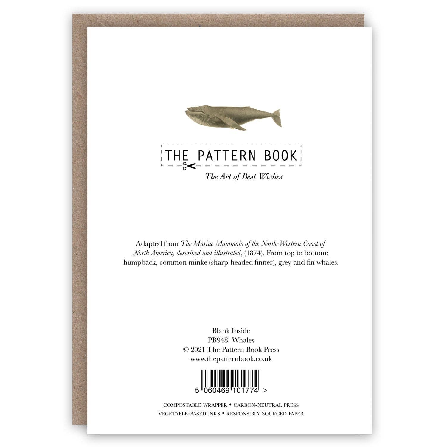 The Pattern Book - Venta al por mayor Tarjetas de felicitación - Ballenas1