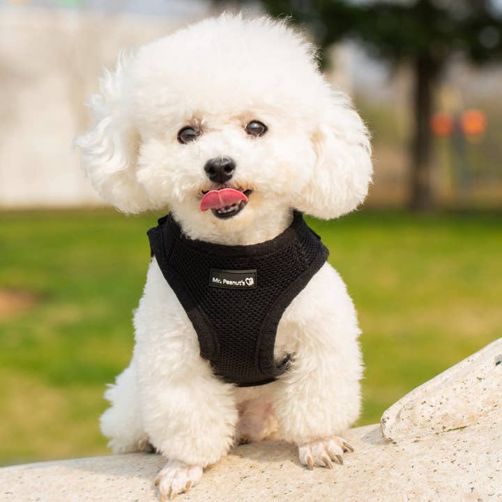 Mr. Peanut's – wholesale Sele - Hund – Mr. Peanuts PupTrek mjukt nätsele för husdjur med matchande koppel – justerbart, andningsbart, kvävningsfritt