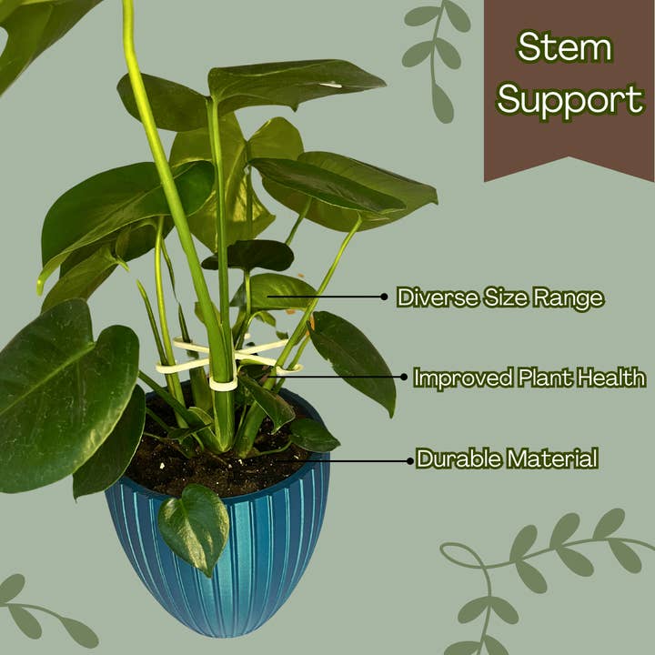 Chatelet - Wholesale Garden Tool - Chatelet Plant Climbers Stem Holders | Unique Design Supports for Growing Plants | 3 Sizes Included for Different Plant Stages | Made in USA (3 Pack, White)2