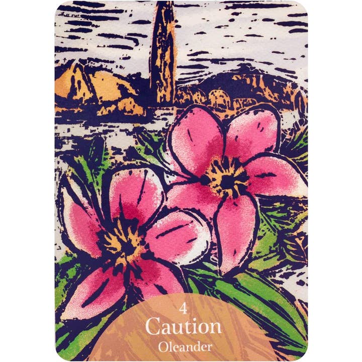 Cardshouse - Wholesale Tarot Cards - The Language Of Flowers Oracle Cards Rockpool4