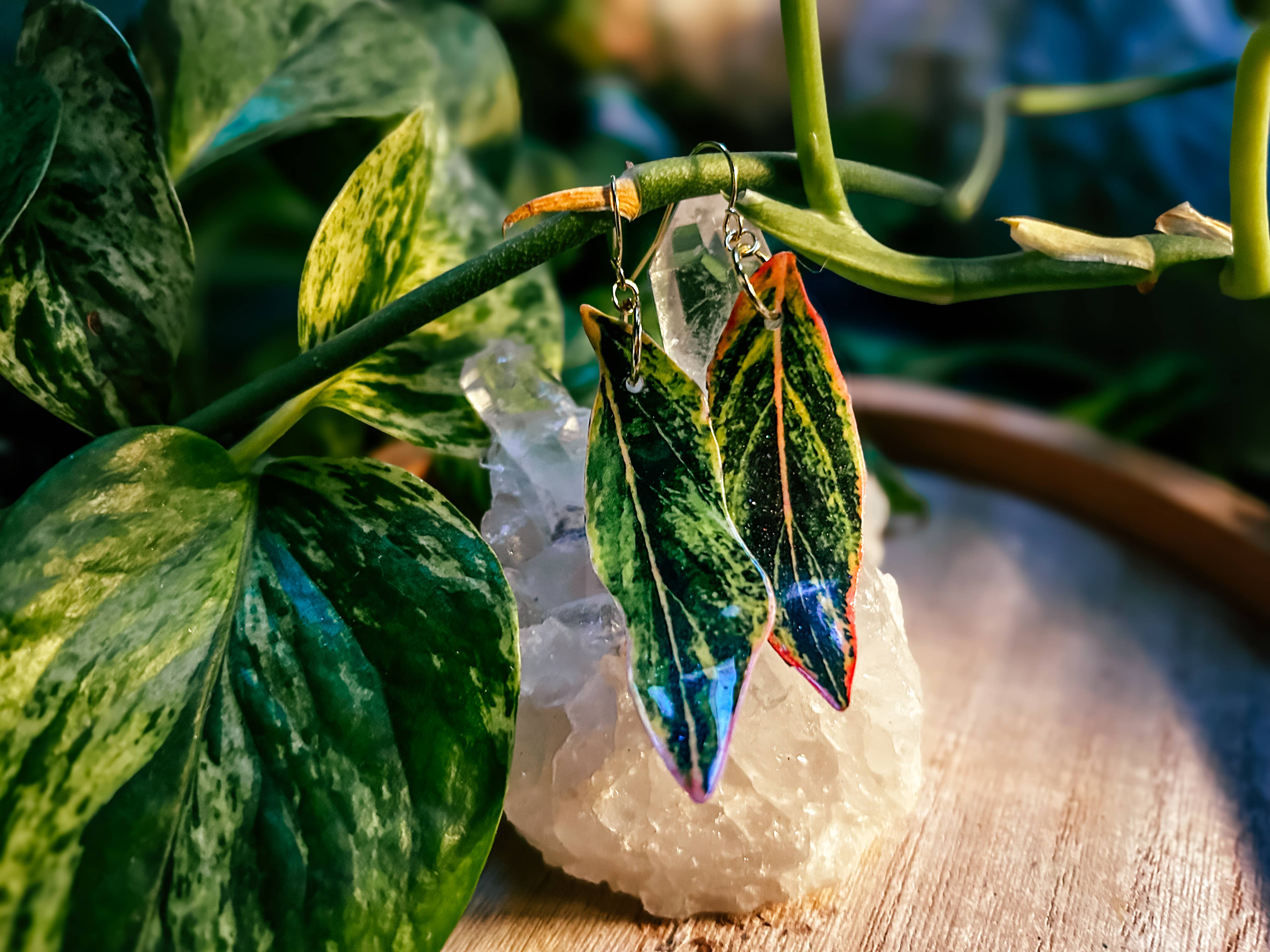 hethr - Wholesale Dangle Earrings - Aglaonema Earring, Magnet, Pin, Decor, Plant Lovers, Leaf (C3