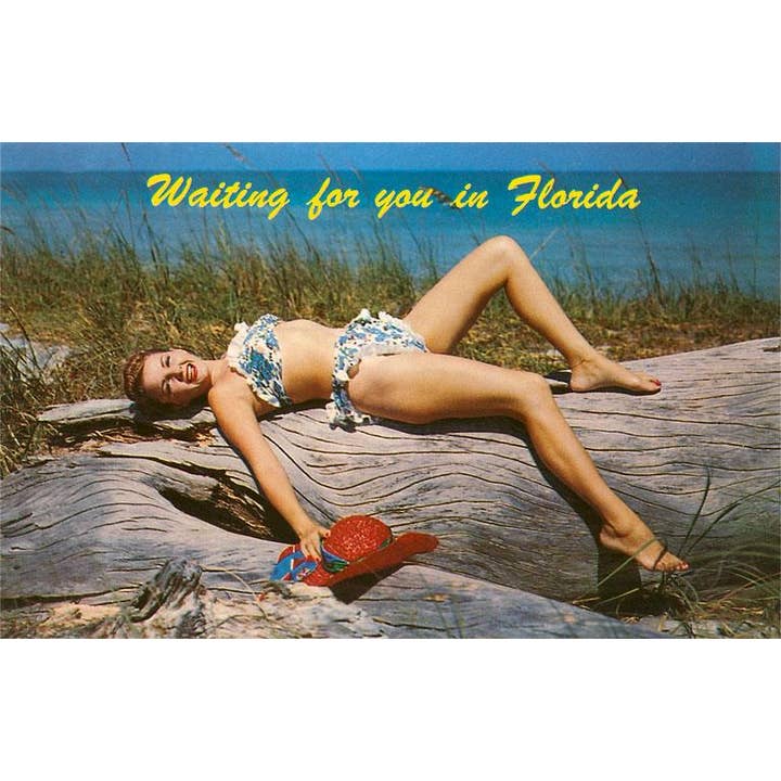 Magnet FL-684 wartet auf dich in Florida, Badenixe. für den Großhandel von Found Image Press