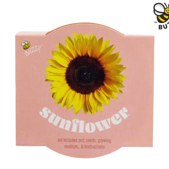 Classic 7cm Terracotta Sunflower Grow Kit – Indoor Gift for wholesale by Buzzy Seeds Grow Gifts