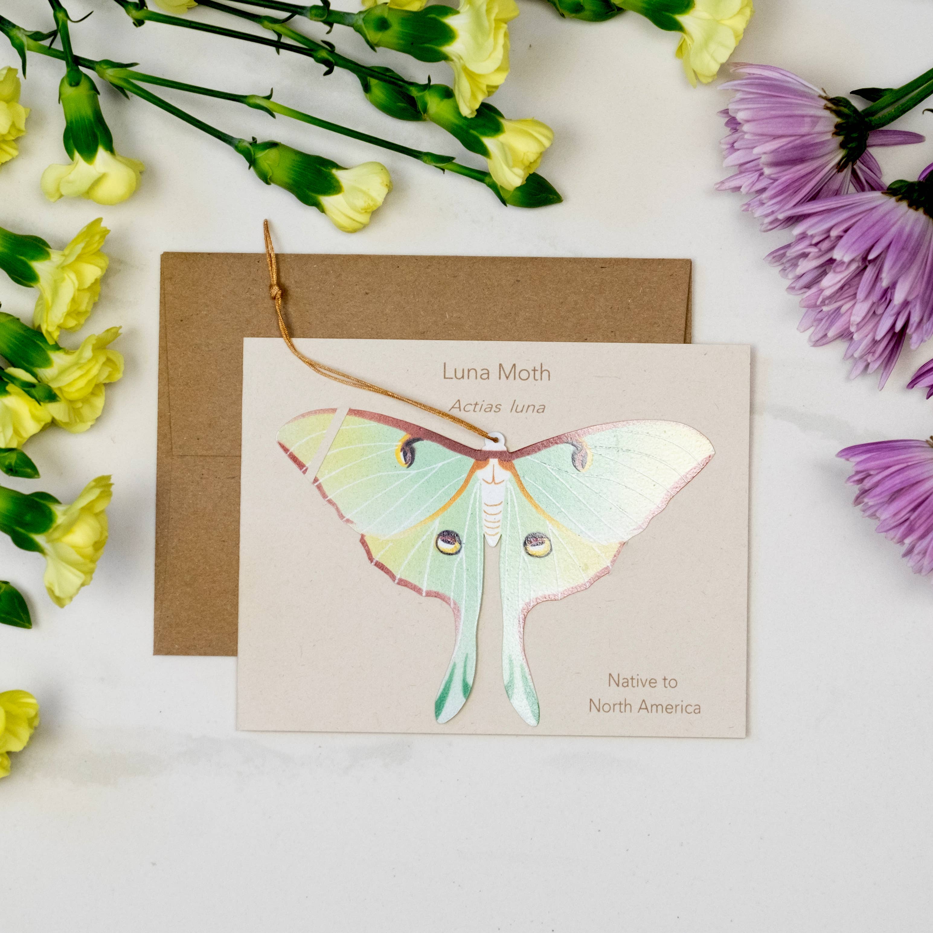 Tulia's Artisan Gallery - Wholesale Ornament - Luna Moth Ornament + Notecard3
